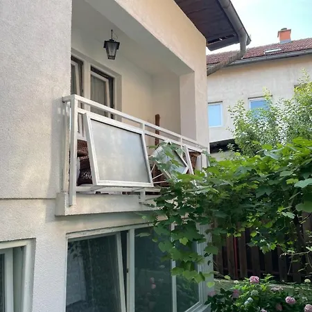 Grape Apartment
