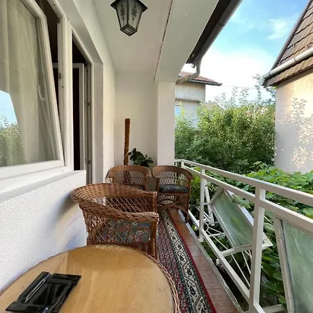 Grape * Sarajevo